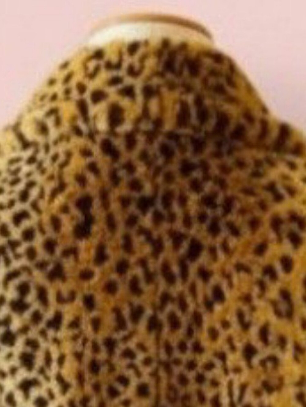 Kristen Blake XL Leopard-Pattern Reptile Cover in Brown and Black, Like New!